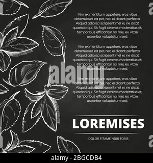 Plakat-Banner mit handgezeichneten Pfefferminzblättern. Vektorgrafik Stock Vektor