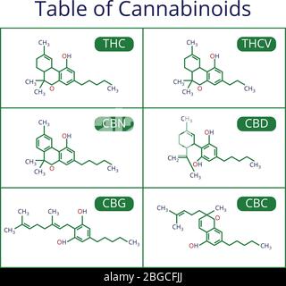 Cannabis Skelett cbd Formel. Marihuana Moleküle Vektor-Set. Cannabis Formel molekulare, chemische Struktur Cannabinoid-Illustration Stock Vektor