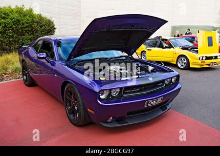 Automobile / American Made Dodge Challenger SRT auf einer Automobilausstellung in Melbourne Victoria Australien ausgestellt. Stockfoto