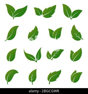 Vektorsymbole mit grünen Lamellen. Frühling hinterlässt Ökologie Symbole. Grünes Blatt und Frühling Natur organische Illustration Stock Vektor