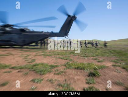 Ein CH-53E Super Hengst, der dem Marine Heavy Helicopter Squadron 462, Marine Aircraft Group 16, 3rd Marine Aircraft Wing, zugewiesen wurde, extrahiert Marines mit 4th Marine Regiment, 2nd Battalion, 1st Marine Division, aus der Landezone während einer taktischen Bergung von Flugzeugen und Personaltrainingsmission im Marine Corps Base Camp Pendleton, Kalifornien, 14. April 2020. Die Schulung wurde durchgeführt, um eine konsistente Betriebsfähigkeit zu gewährleisten, da der dritte MAW weiterhin für kurzfristige weltweite Einsätze bereit ist und gleichzeitig die erforderlichen Vorsichtsmaßnahmen zum Schutz der Integrität der Truppe befolgt. (USA Marine Corps Foto von La Stockfoto