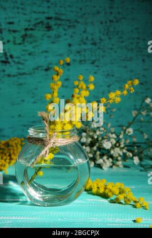 Zweige von Mimosen Blumen in Vase auf blauen Holztisch Stockfoto