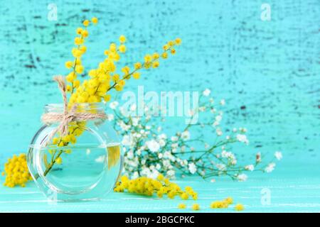 Zweige von Mimosen Blumen in Vase auf blauen Holztisch Stockfoto