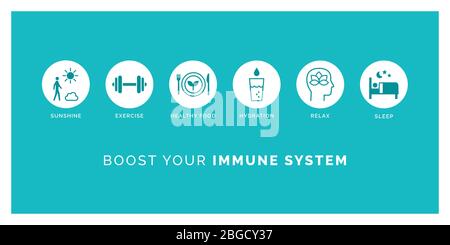 Wie Sie Ihr Immunsystem natürlich zu stärken: Setzen Sie sich Sonnenlicht, Bewegung, gesund essen, Wasser trinken, entspannen und schlafen, Symbole gesetzt Stock Vektor