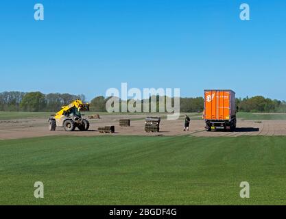Rasen auf einem Feld schneiden und in LKW laden, in der Nähe Skipwith, North Yorkshire, England Großbritannien Stockfoto