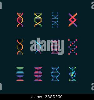 Symbole für die menschliche dna-Forschung. Spiralmolekül medizinische Bio-Tech-Vektor-Symbole. Forschung Chemie und Medizin, Helix Genom illustrati Stock Vektor
