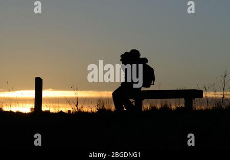 Silhouette eines Vogelbeobachters auf einer Bank mit Fernglas vor einem goldenen Sonnenuntergang angehoben sitzen Stockfoto