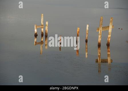 Holzstützen aus alten Steg oder Wasserbau, hervorgehoben durch eine niedrige Sonne mit klaren und deutlichen Reflexen in sehr stillem Wasser Stockfoto