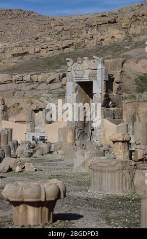 Die Überreste der hundert Säulen Halle, Persepolis, Fars Provinz, Iran, Persien, Naher Osten. Stockfoto