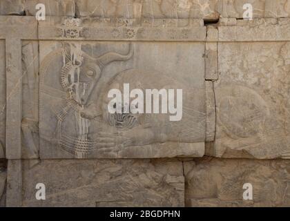 Bas-Relief eines Löwen Angriff auf einen Stier,Persepolis, Fars Provinz, Iran, Persien, Mittlerer Osten. Stockfoto