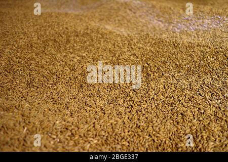 Dublin, Irland - 06/27/2016: Guinness Sotrehouse in Dublin Stockfoto