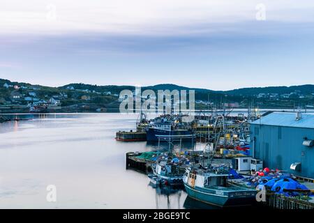 Frühe blaue Stunde Aufnahme des Twillingate Hafens mit ruhigem Wasser und dem kleinen Dorf im Hintergrund, Neufundland, Kanada Stockfoto
