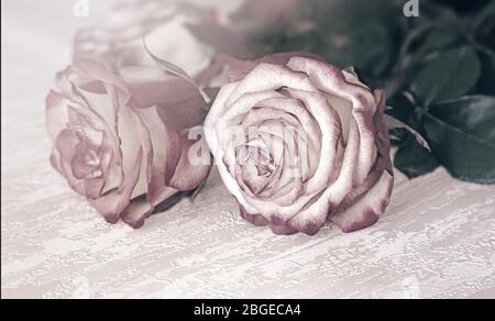 Blumenstrauß aus Rosen auf dem Tisch. Stockfoto