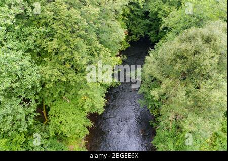 Flache Roaring River, flacher sauberer Fluss im Sommer Stockfoto