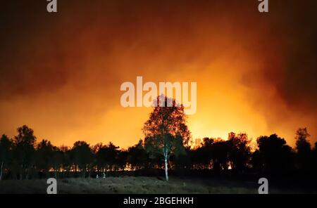 Elmpt, Deutschland. April 2020. Ein Stück Wald bei Elmpt brennt in der Nacht. Nach Angaben des Landkreises Viersen sind rund 500 Feuerwehrleute aus Deutschland und den Niederlanden an der Bekämpfung des Großbrandes im deutsch-niederländischen Grenzgebiet beteiligt. Kredit: Sascha Rixkens/dpa/Alamy Live News Kredit: dpa picture Alliance/Alamy Live News Stockfoto