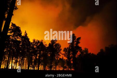 Elmpt, Deutschland. April 2020. Ein Stück Wald bei Elmpt brennt in der Nacht. Nach Angaben des Landkreises Viersen sind rund 500 Feuerwehrleute aus Deutschland und den Niederlanden an der Bekämpfung des Großbrandes im deutsch-niederländischen Grenzgebiet beteiligt. Kredit: Sascha Rixkens/dpa/Alamy Live News Kredit: dpa picture Alliance/Alamy Live News Stockfoto