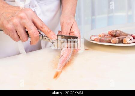 Hände einer Frau, die eine frische rote Meeräsche abblättet Stockfoto