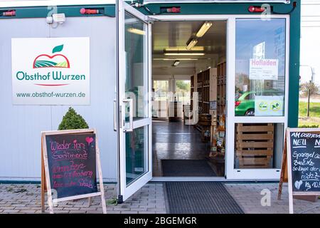 Wurzen, Deutschland. April 2020. Äpfel (Malus), sind Pfomenfrüchte, die auf dem Baum reifen. Es gibt etwa 40 bis 50 Sorten. Vom süßen Apfel zum sauren Apfel. Quelle: Nico Schimmelpfennig/dpa-Zentralbild/ZB/dpa/Alamy Live News Stockfoto