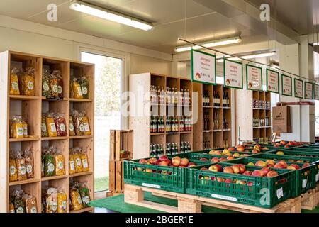 Wurzen, Deutschland. April 2020. Äpfel (Malus), sind Pfomenfrüchte, die auf dem Baum reifen. Es gibt etwa 40 bis 50 Sorten. Vom süßen Apfel zum sauren Apfel. Quelle: Nico Schimmelpfennig/dpa-Zentralbild/ZB/dpa/Alamy Live News Stockfoto