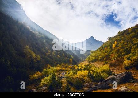 Morgenlicht zwischen Bäumen und Bergen, auf dem Weg zum See von Frisson, in Maritime Alpen Park, Piemont Italien Stockfoto