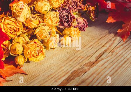 Getrocknete gelbe Rosen liegen auf rustikalem Holzhintergrund. Kopierbereich Stockfoto