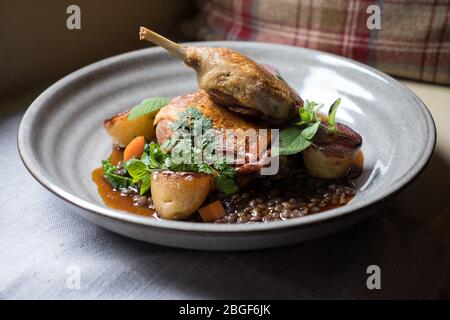 Goosnargh-Ente mit Bratkartoffeln und Puy-Linsen, serviert im Bay Horse Inn in Lancashire Stockfoto