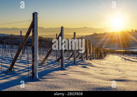 Weinberge von Barolo in den Hügeln von Langhe, (Piemont, Italien) bei Sonnenuntergang. Landschaft und Reihen von den Schnees im dezember bedeckt Stockfoto