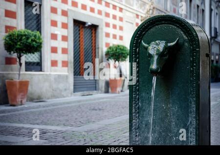 'Toret', typischer öffentlicher Brunnen von Turin (Italien). Es gibt fast 800 'Torett' in der Stadt, alle aus Gusseisen und mit Stierform im XIX Jahrhundert Stockfoto