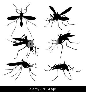 Nahaufnahme Moskito Silhouetten isoliert. Fliegende Makro Moskitos Vektor gesetzt. Illustration von Insektenmücke, Parasiten Blutsauger Stock Vektor