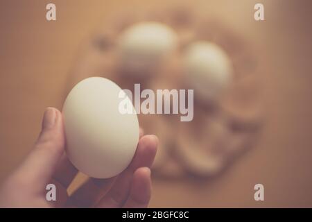 Weibliche Finger hält ein weißes Hühnereier auf verschwommenem braunen Tischhintergrund. Stockfoto