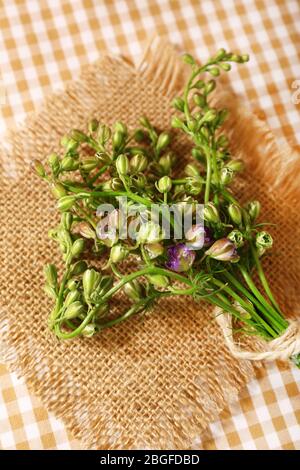 Schöne wilde Blumen auf dem Tisch Stockfoto