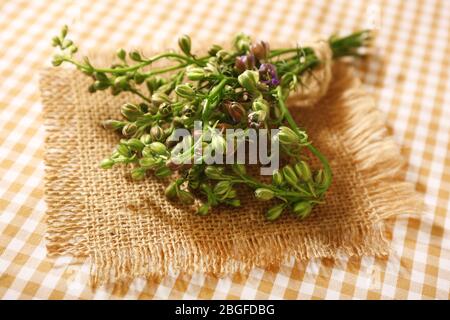 Schöne wilde Blumen auf dem Tisch Stockfoto