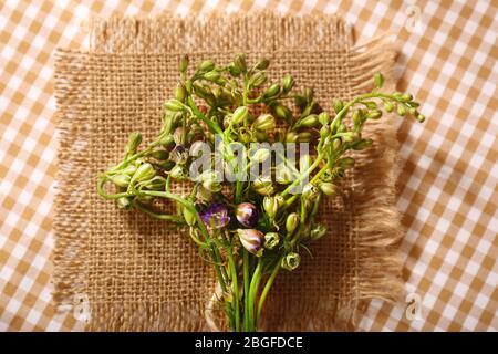 Schöne wilde Blumen auf dem Tisch Stockfoto