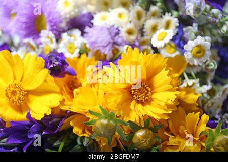 Schönen wilden Blumen close up Stockfoto