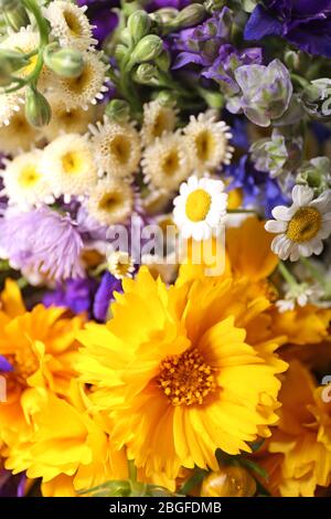 Schönen wilden Blumen close up Stockfoto