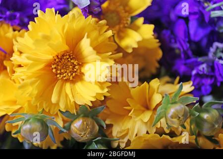 Schönen wilden Blumen close up Stockfoto