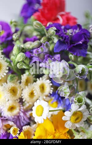 Schönen wilden Blumen close up Stockfoto