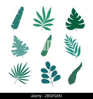 Set von 9 verschiedenen Blättern in modernen farbigen flachen Stil, isoliert auf weißem Hintergrund. Stock Vektor