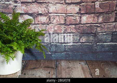 Boston fern(Nephrolepis exaltata bostoniensis) vor Holzboden und Backstein Hintergrund. Stockfoto