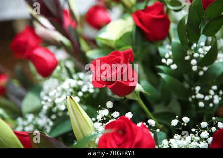 Rote Rosen auf dem Boden. Gemacht zum Geburtstag. Große schöne rote Rosen Bouquet. Stockfoto