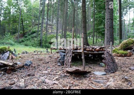 Im Wald, Böhmische schweiz, Natur, Outdoor Stockfoto