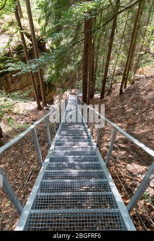 Im Wald, Böhmische schweiz, Natur, Outdoor Stockfoto