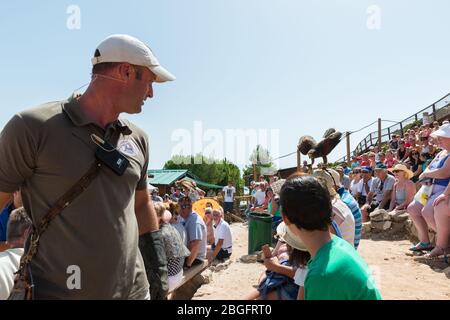 MALAGA, SPANIEN - 7. SEPTEMBER 2016: Ausstellung der Greifvögel in der Costa del Sol in Benalmadena Stockfoto