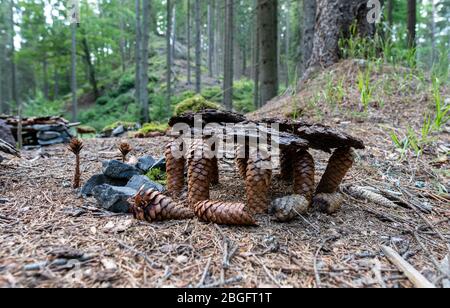 Im Wald, Böhmische schweiz, Natur, Outdoor Stockfoto