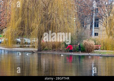 Der Stadtpark Teich neben dem Heldenplatz in Budapest, Ungarn. Stockfoto