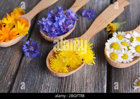 Frische Heilkräuter in Holzlöffeln auf dem Tisch Nahaufnahme Stockfoto