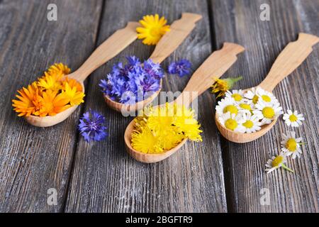 Frische Heilkräuter in Holzlöffeln auf dem Tisch Nahaufnahme Stockfoto