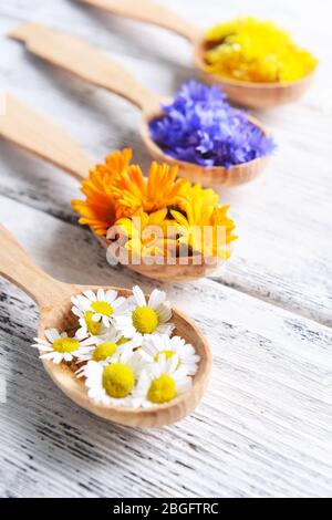 Frische Heilkräuter in Holzlöffeln auf dem Tisch Nahaufnahme Stockfoto