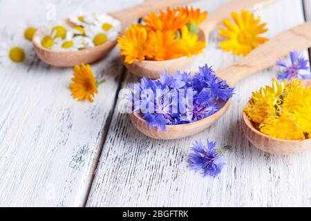 Frische Heilkräuter in Holzlöffeln auf dem Tisch Nahaufnahme Stockfoto