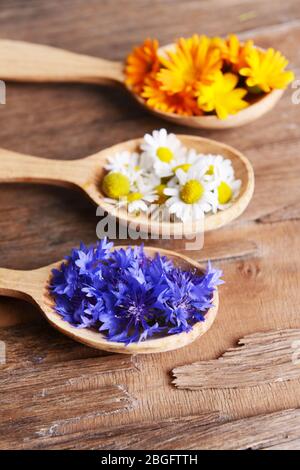 Frische Heilkräuter in Holzlöffeln auf dem Tisch Nahaufnahme Stockfoto